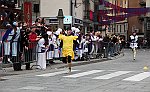 Gara delle Bighe 2011-7815
